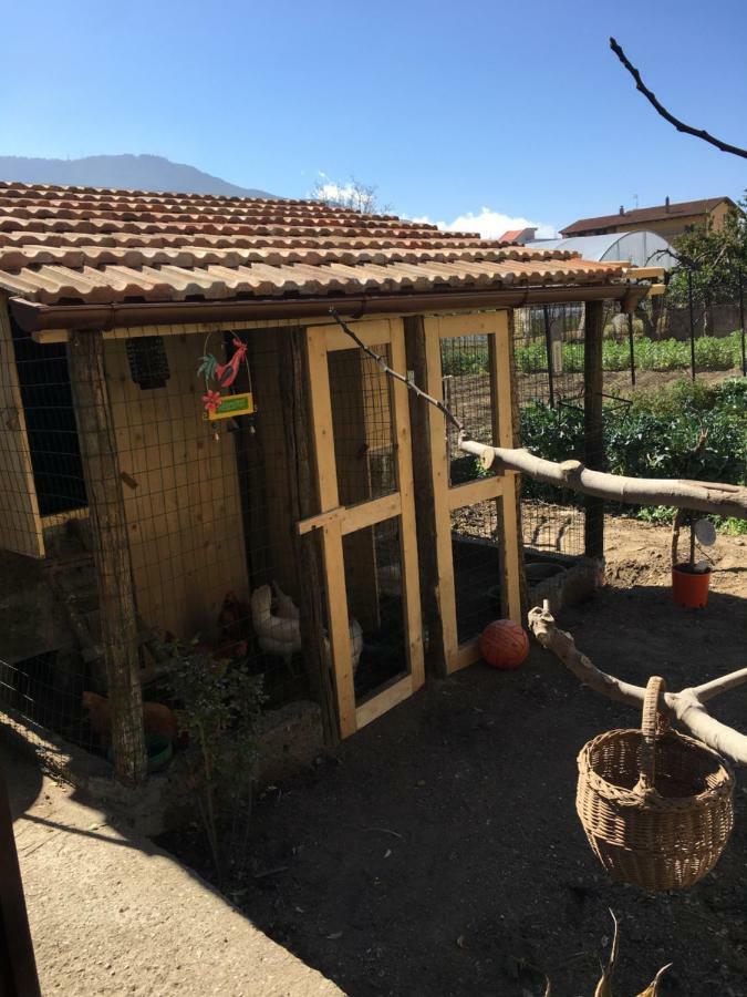 Buonocore Rooms Santa Maria La Carita ภายนอก รูปภาพ