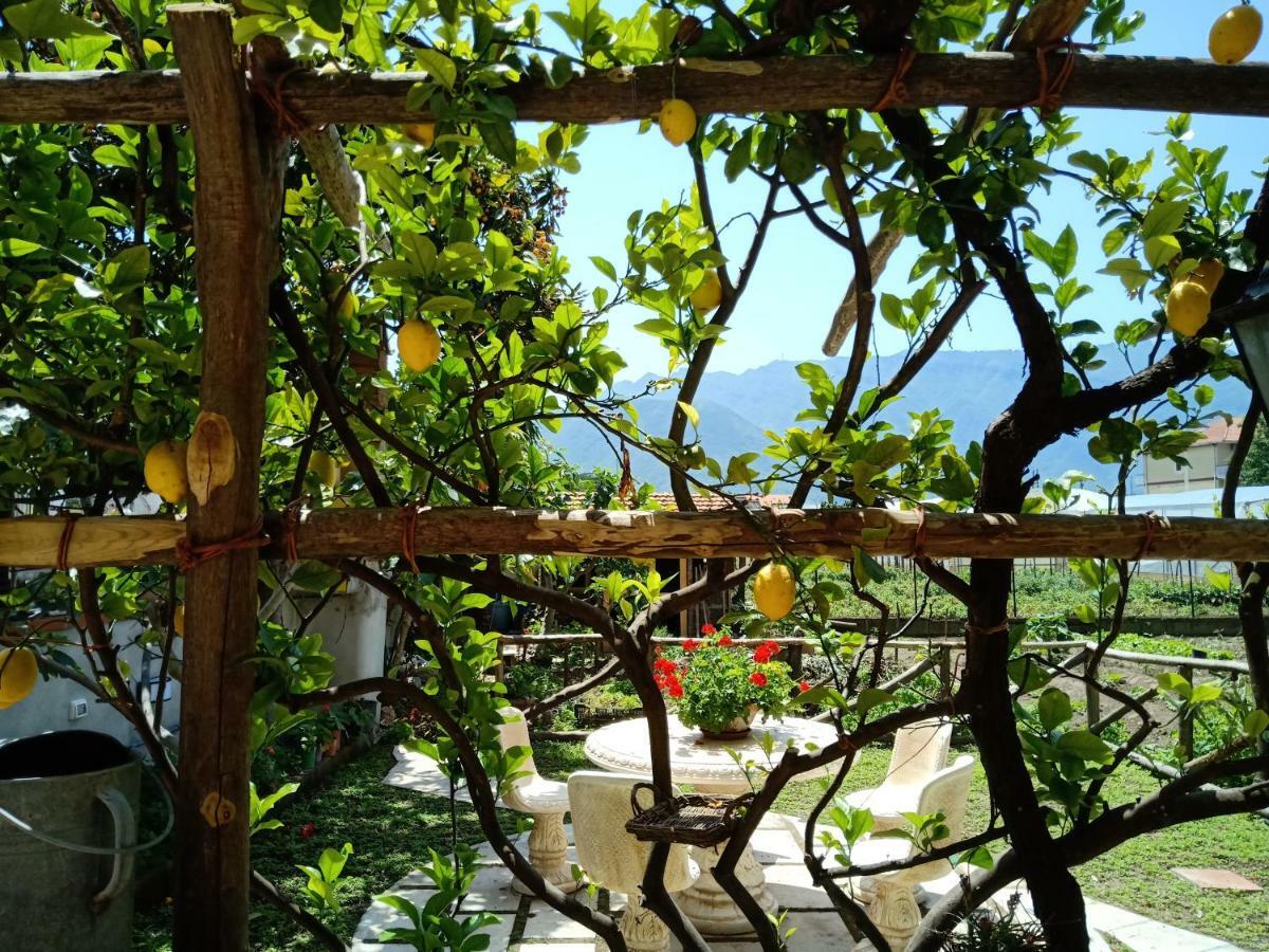 Buonocore Rooms Santa Maria La Carita ภายนอก รูปภาพ